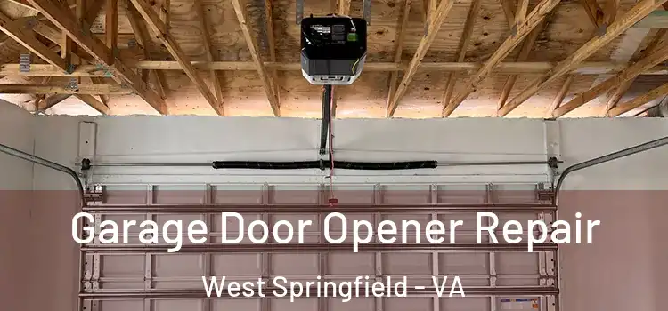  Garage Door Opener Repair West Springfield - VA