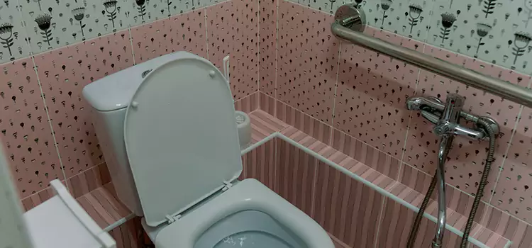 Meeting Diverse Needs With Accessible Restroom Solutions in West Springfield, VA